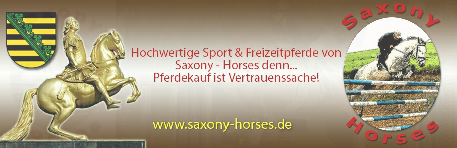 Saxony Horses